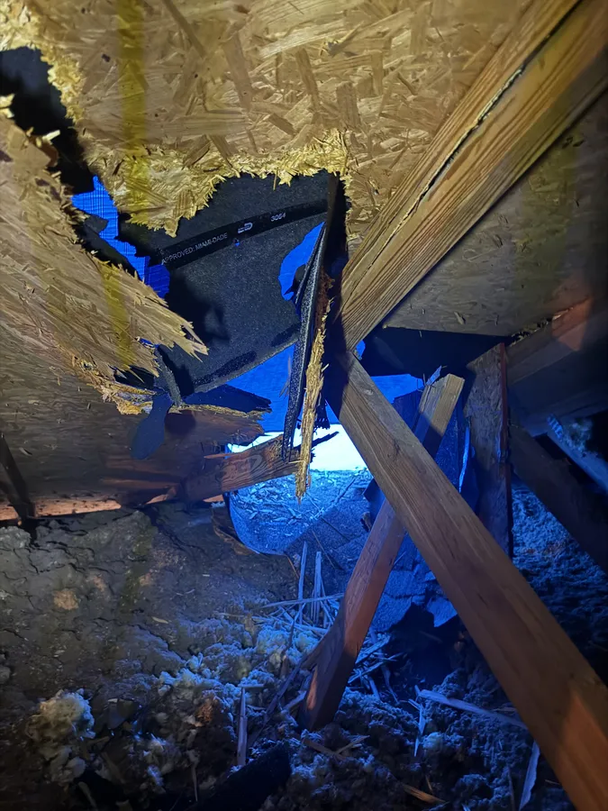 Real tree strike roof damage with splintered trusses, Central Florida restoration job