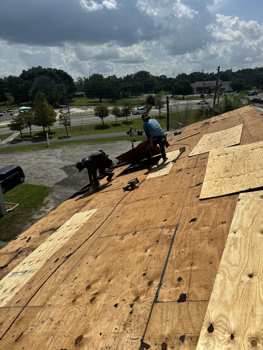 State Certified Roofing crew installing new plywood decking on Central Florida home